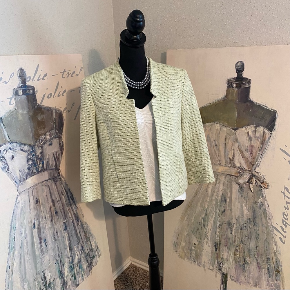 Nipon Boutique Blazer Size 6